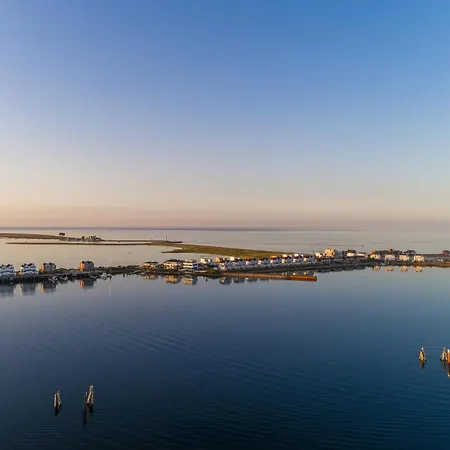 Apartamento Ostsee-ferienwohnung Meeresflüstern Für 4, Modern, Meerblick, Sauna, Terrasse, Nah Am Olpenitz